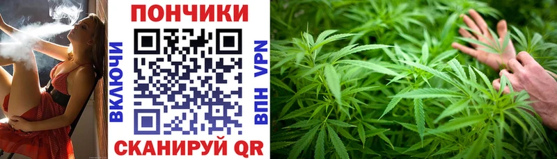 Бошки марихуана Amnesia  Купить закладки  Опочка 